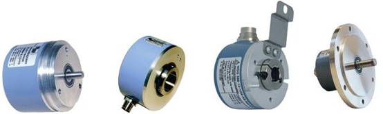 WACHENDORFF WACHENDORFF