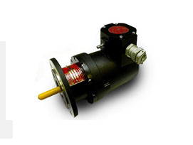 防爆型測速電機(jī) RDC 215 ADF --單通道